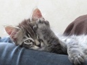 IMG_6294~0.jpg