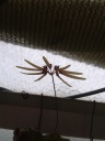20180910_081134.jpg