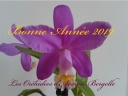 Nom du fichier=Bonne_annee_28129.jpg
Taille du fichier=129Ko
Dimensions : 800x600
Ajouté le : 09 Janvier 2019 Bonne_annee_28129.jpg