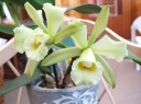 Photo_002.JPG