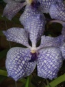 DSCF2228.JPG