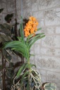 IMG_0512_R.JPG