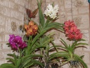 IMG_4194_R.jpg