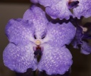 IMG_4230_F.jpg