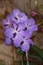IMG_4234_HP.jpg