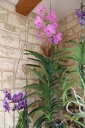 IMG_4264_R.jpg