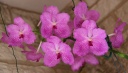 IMG_4267_HP.jpg