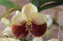 IMG_7690.JPG