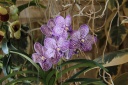IMG_7694.JPG
