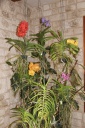 IMG_7974.JPG