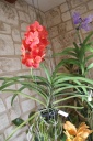 IMG_7979.JPG