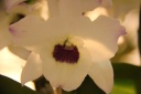 IMG_8746.JPG