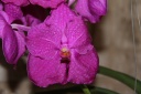 IMG_9132_R.JPG