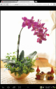 Screenshot_2013-01-05-13-27-06.png