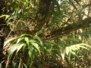 Pe20120922_287829.JPG