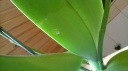 WP_20150602_007.jpg