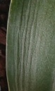 20130407_175130-1-1.jpg