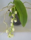 DSCN3193.JPG