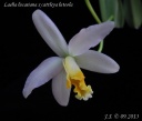 DSCN3418.JPG