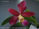 DSCN3460.JPG