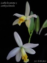 Dscn3421.jpg