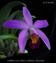 Dscn3538.jpg