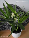 Dscn3561.jpg