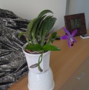 Dscn3580.jpg