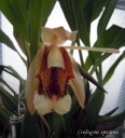 Dscn3734.jpg