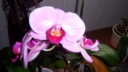 100_2575.JPG