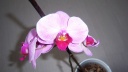 100_2576.JPG