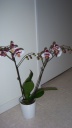 100_2709.JPG