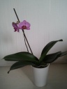 20130529_193321.jpg