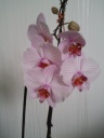 20130529_193404.jpg