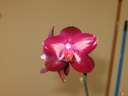 IMG_1761.JPG