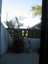 Nom du fichier=dendrobium_sur_le_balcon.JPG
Taille du fichier=134Ko
Dimensions : 600x800
Ajouté le : 03 Août 2013 dendrobium_sur_le_balcon.JPG