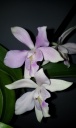 20130825_081842.jpg