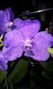 20130831_081541.jpg