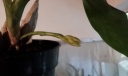 20130831_081729.jpg