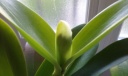 20130902_082342.jpg