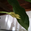 20130907_141301-1.jpg