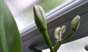 20130911_134606.jpg