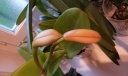 20130917_193854.jpg