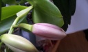 20130918_102115.jpg