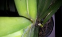 20130918_103051.jpg