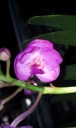 20130924_090827.jpg