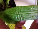 20131010_204723.jpg
