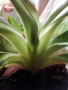20131025_160735.jpg