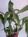 20131029_084303.jpg
