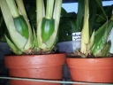 20131102_165426.jpg